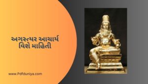 અગસ્ત્યર આચાર્ય વિશે માહિતી ગુજરાતી Agastyar Acharya Information in Gujarati