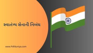 સ્વાતંત્ર્ય સેનાની નિબંધ Swatantrata Senani Nibandh in Gujarati