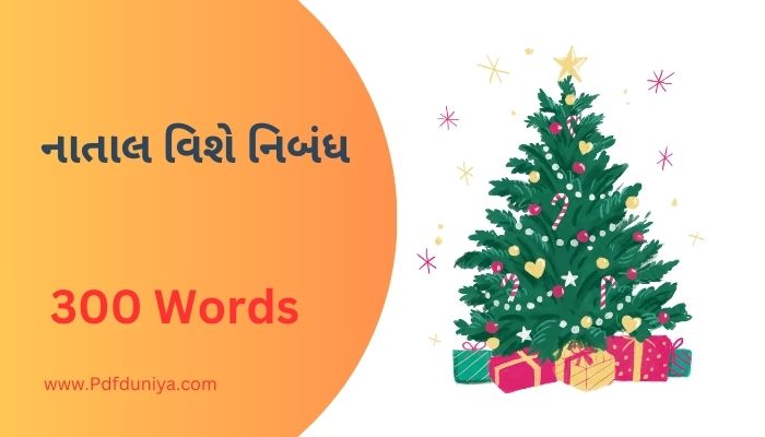 Christmas Essay in Gujarati નાતાલ વિશે નિબંધ ગુજરાતીમાં 100, 200, 300, શબ્દો.