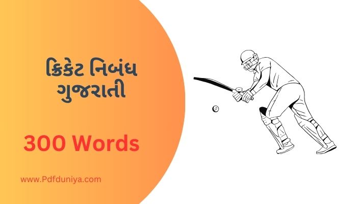 Cricket Essay in Gujarati ક્રિકેટ નિબંધ ગુજરાતીમાં 200, 300, શબ્દો.