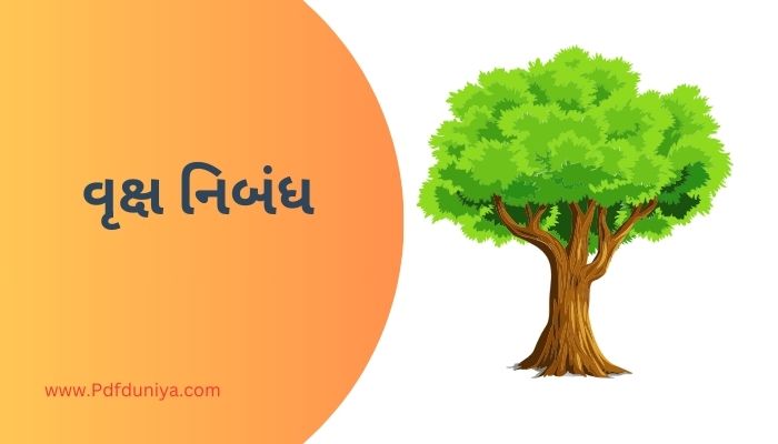 Gujarati Language Tree Essay in Gujarati વૃક્ષ નિબંધ ગુજરાતીમાં 200, 300, શબ્દો.