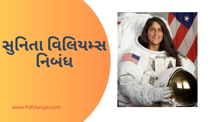 Sunita Williams Essay in Gujarati સુનિતા વિલિયમ્સ નિબંધ ગુજરાતીમાં 200, 300, શબ્દો.