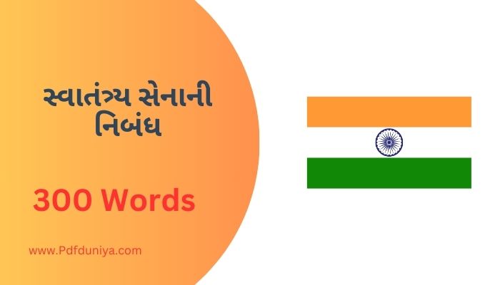 Swatantrata Senani Nibandh in Gujarati સ્વાતંત્ર્ય સેનાની નિબંધ ગુજરાતીમાં 100, 200, 300, શબ્દો.