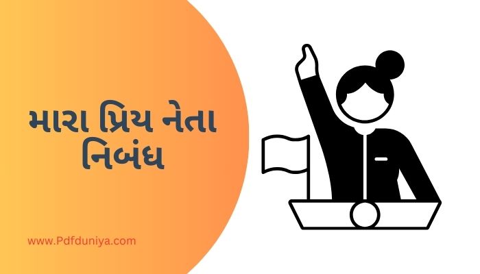 Mera Priya Neta Essay in Gujarati મારા પ્રિય નેતા નિબંધ ગુજરાતીમાં 200, 300, શબ્દો.