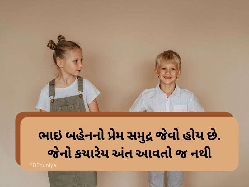 50+ ભાઈ બહેન કોટ્સ ગુજરાતી Brother and Sister Quotes in Gujarati