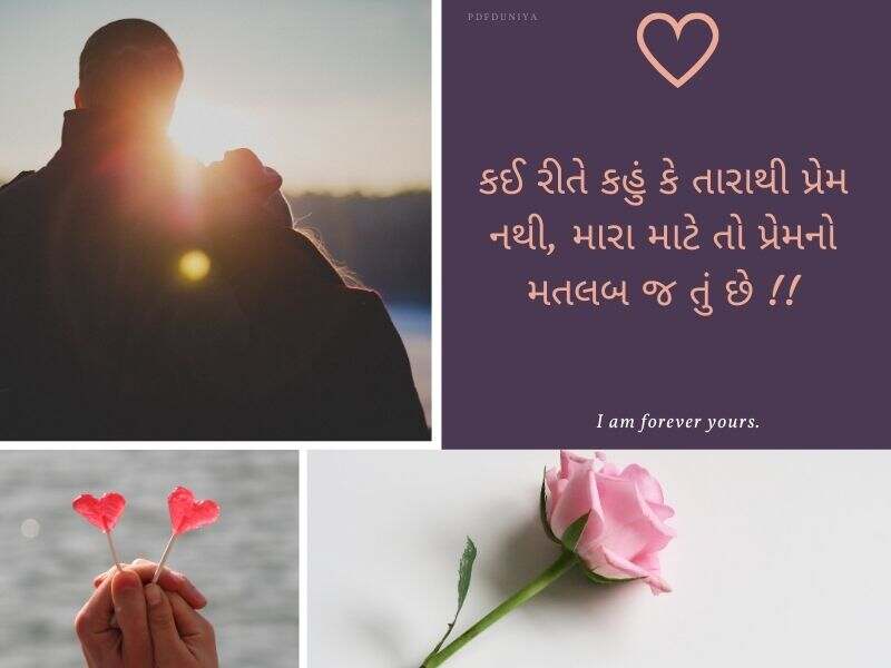 Best 610+ લવ ક્વોટ્સ ગુજરાતી Love Quotes in Gujarati Text