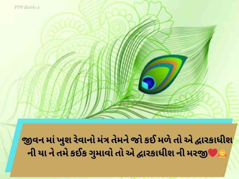 250+ Best જય દ્વારકાધીશ કોટ્સ ગુજરાતી Dwarkadhish Quotes in Gujarati