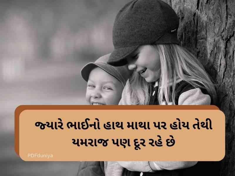 50+ ભાઈ બહેન કોટ્સ ગુજરાતી Brother and Sister Quotes in Gujarati