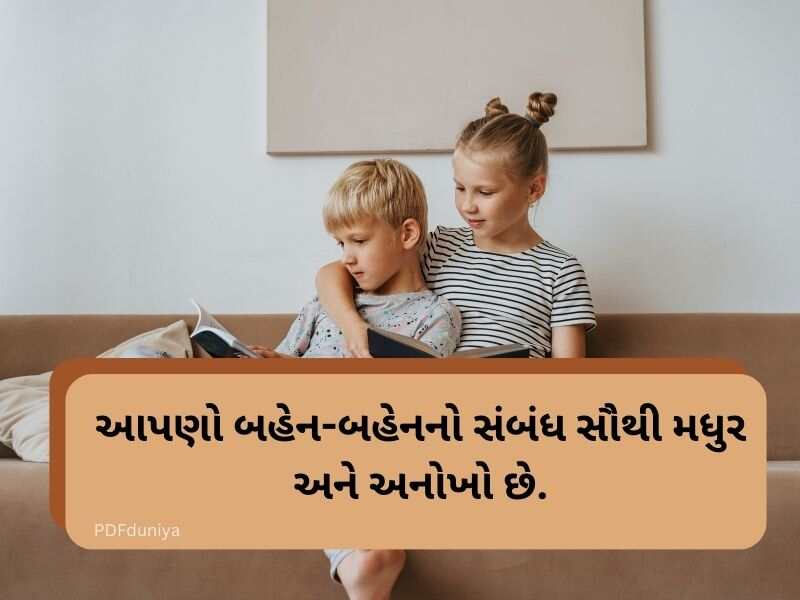 50+ ભાઈ બહેન કોટ્સ ગુજરાતી Brother and Sister Quotes in Gujarati