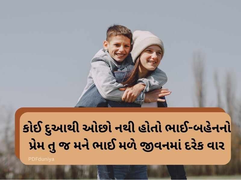 50+ ભાઈ બહેન કોટ્સ ગુજરાતી Brother and Sister Quotes in Gujarati