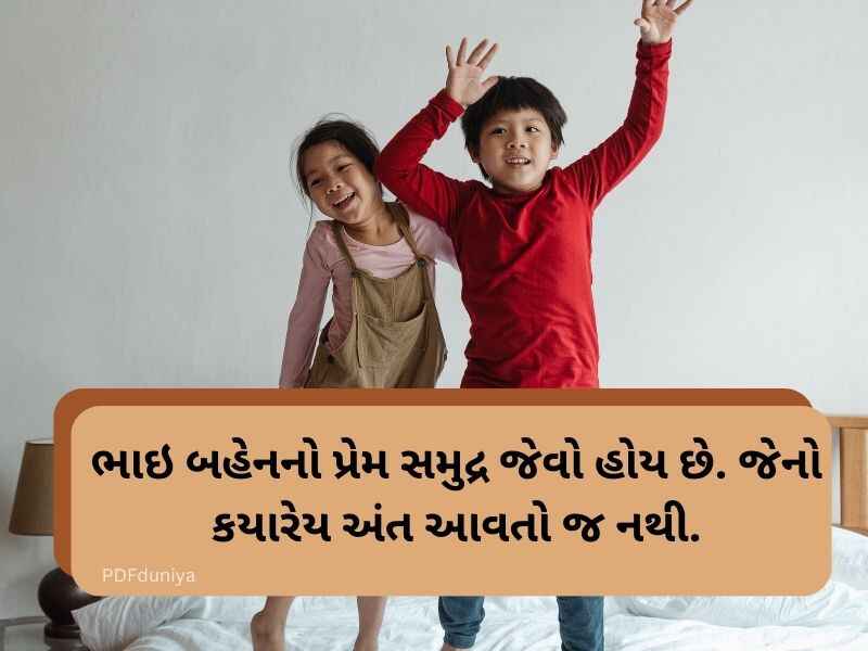 50+ ભાઈ બહેન કોટ્સ ગુજરાતી Brother and Sister Quotes in Gujarati