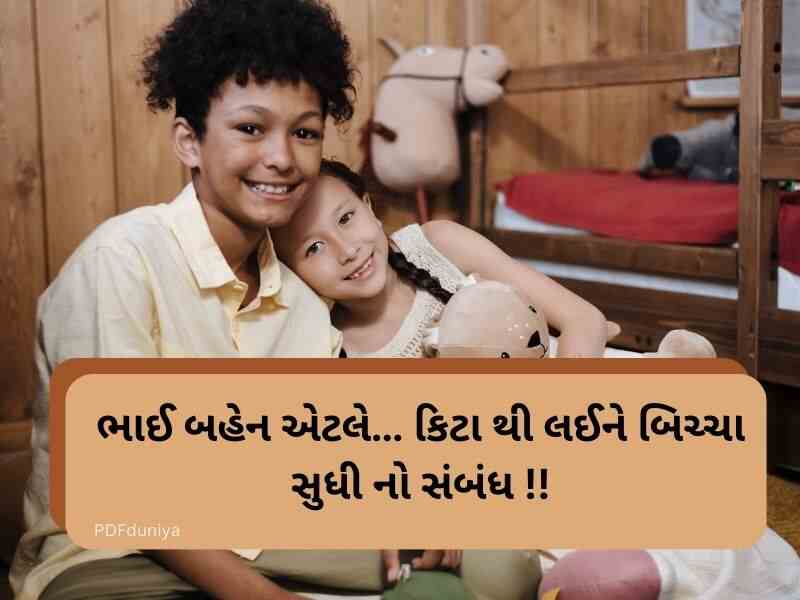 50+ ભાઈ બહેન કોટ્સ ગુજરાતી Brother and Sister Quotes in Gujarati