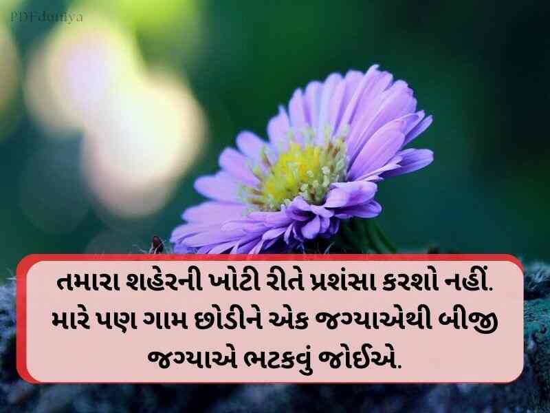 340+ Best Kadar Quotes in Gujarati કદર સુવિચાર ગુજરાતી