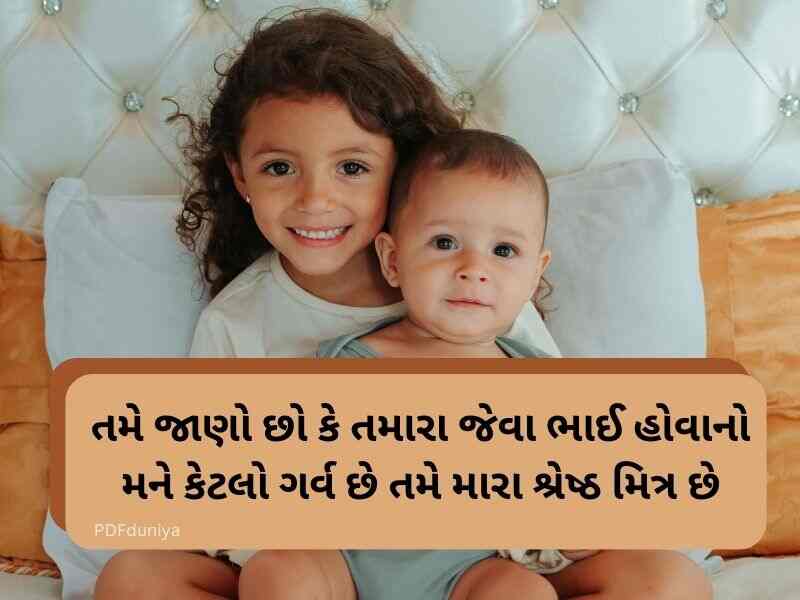 50+ ભાઈ બહેન કોટ્સ ગુજરાતી Brother and Sister Quotes in Gujarati