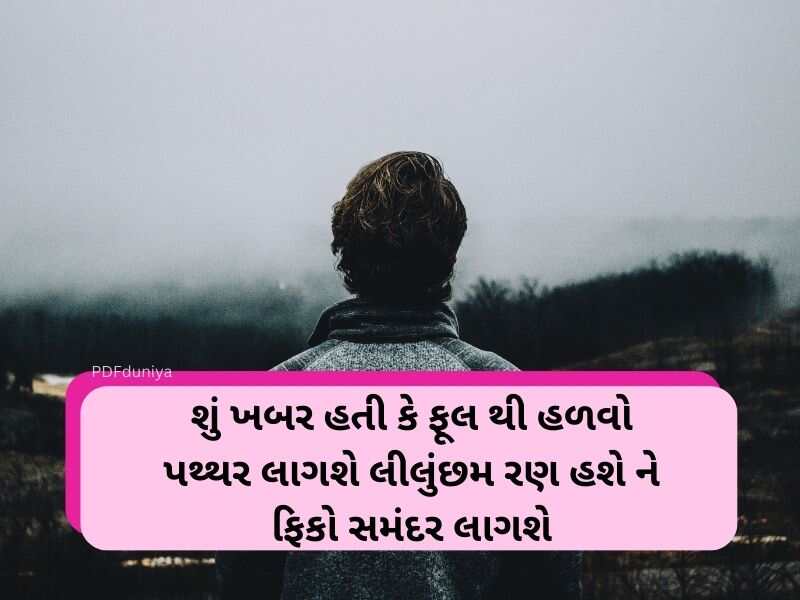 101+ એકલતા કોટ્સ ગજરાતી Feeling Alone Quotes in Gujarati